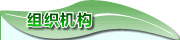 組織機構